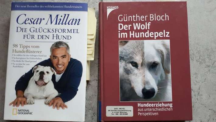 Hunde-Fachliteratur-Beitrag-Bild