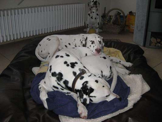 müde der kleine-Beitrag-Bild