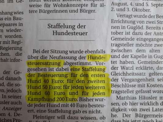 Hundesteuer Betrag-Beitrag-Bild