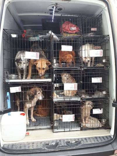 Das erste Foto-Beitrag-Bild