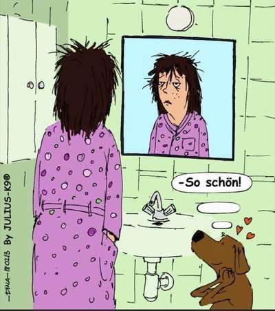 Hier ist der Spaßthread. Zum Schmunzeln und Kaputtlachen-Beitrag-Bild