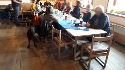 Hundewanderungen in Niederbayern für Raum Passau, Deggendorf, Freyung, Bodenmais und Grafenau...-Beitrag-Bild