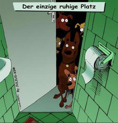 Hier ist der Spaßthread. Zum Schmunzeln und Kaputtlachen-Beitrag-Bild