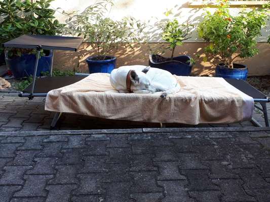 Challenge Nr 14
Eure Fellnasen auf ihrem Lieblingsplatz-Beitrag-Bild