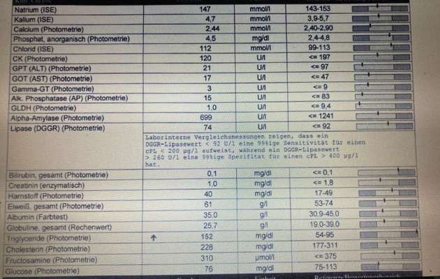 Blutuntersuchung-Beitrag-Bild