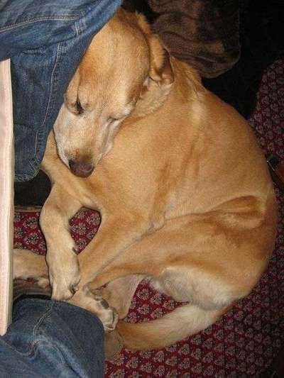 Die unbequemsten und lustigsten Schlafpositionen-Beitrag-Bild