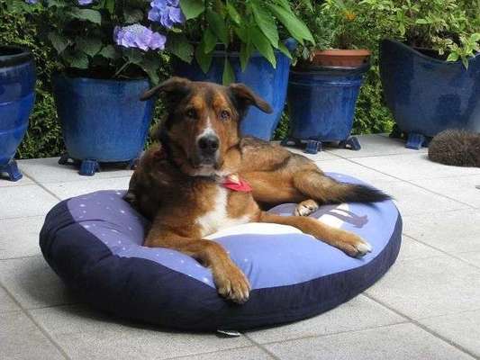 Die unbequemsten und lustigsten Schlafpositionen-Beitrag-Bild