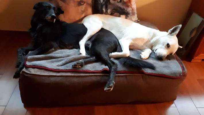 Die unbequemsten und lustigsten Schlafpositionen-Beitrag-Bild