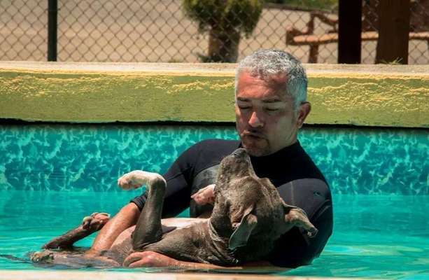 Eure Meinung zu Cesar Millan-Beitrag-Bild