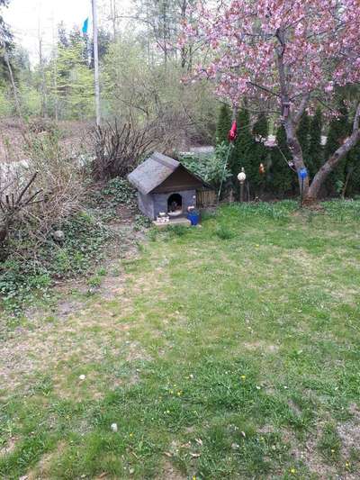 Selbstständig machen mit Hundehütten?-Beitrag-Bild