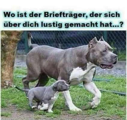 Hier ist der Spaßthread. Zum Schmunzeln und Kaputtlachen-Beitrag-Bild