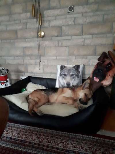 müde der kleine-Beitrag-Bild