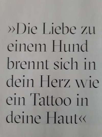 Erinnerungs Tattoos-Beitrag-Bild