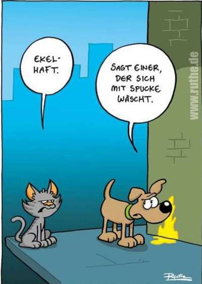 Hunde sprüche-Beitrag-Bild