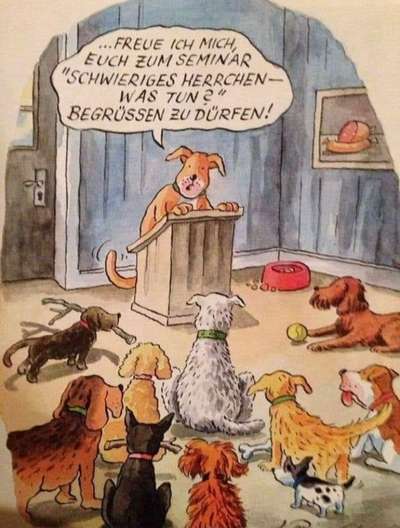 Hier ist der Spaßthread. Zum Schmunzeln und Kaputtlachen-Beitrag-Bild