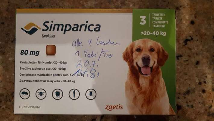 Bravecto-Beitrag-Bild