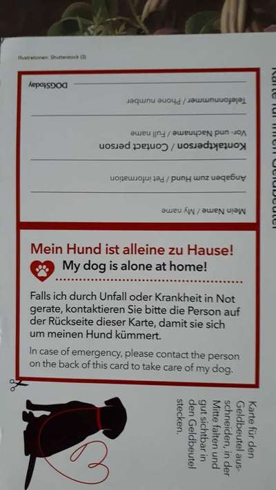 Notfallkarte für den oder die Hund(e)-Beitrag-Bild