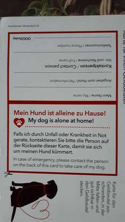 Notfallkarte für den oder die Hund(e)-Beitrag-Bild
