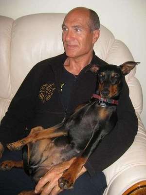 Seelenhunde-Beitrag-Bild