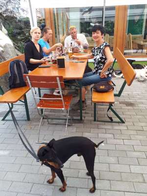 Hundewanderungen in Niederbayern für Raum Passau, Deggendorf, Freyung, Bodenmais und Grafenau...-Beitrag-Bild