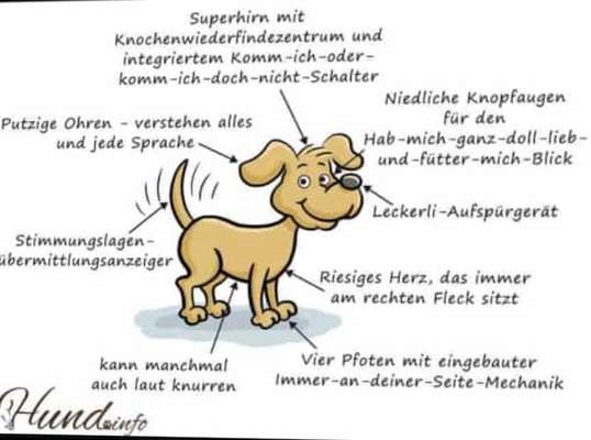 Hier ist der Spaßthread. Zum Schmunzeln und Kaputtlachen-Beitrag-Bild