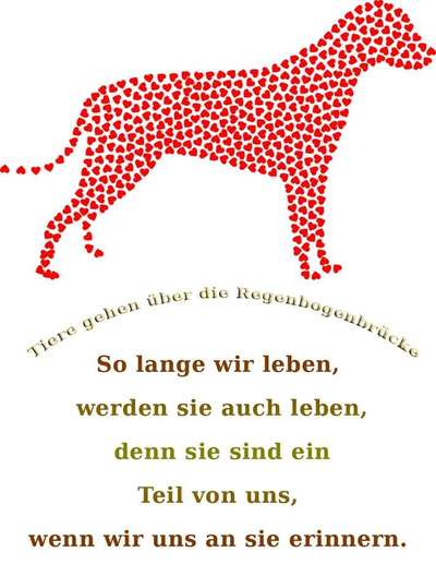 Regenbogenbrücke-Beitrag-Bild