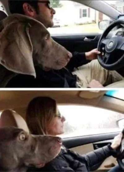 Hier ist der Spaßthread. Zum Schmunzeln und Kaputtlachen-Beitrag-Bild