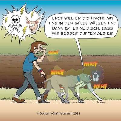 Hier ist der Spaßthread. Zum Schmunzeln und Kaputtlachen-Beitrag-Bild