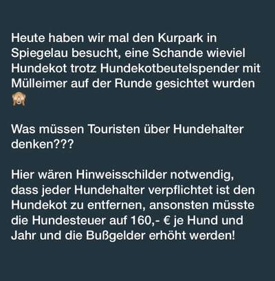 Hundesteuer Betrag-Beitrag-Bild