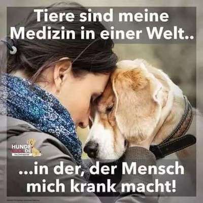 Warum liebst du deinen Hund?-Beitrag-Bild