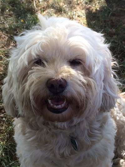 Fotochallenge Nr. 56 - geliebte Senioren-Beitrag-Bild