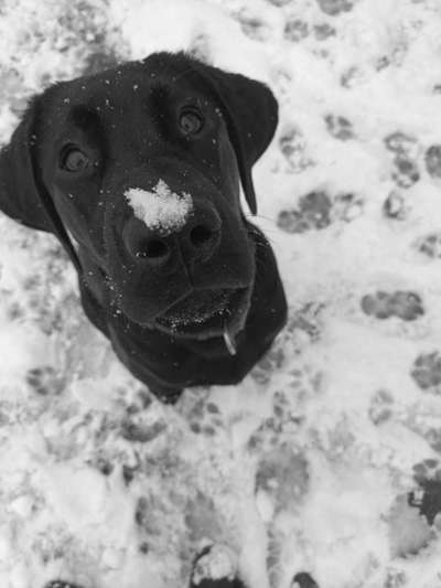 Foto-Challenge 76: Foto in Schwarz-Weiss-Beitrag-Bild