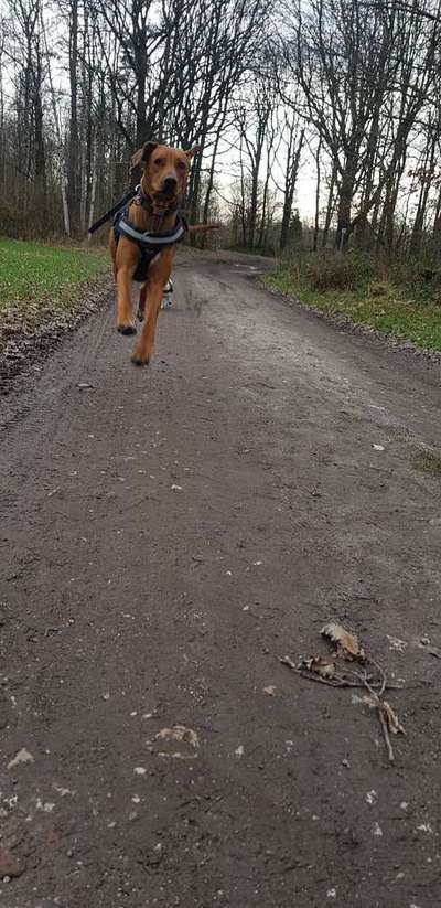 Lieblings Schnappschuss?-Beitrag-Bild