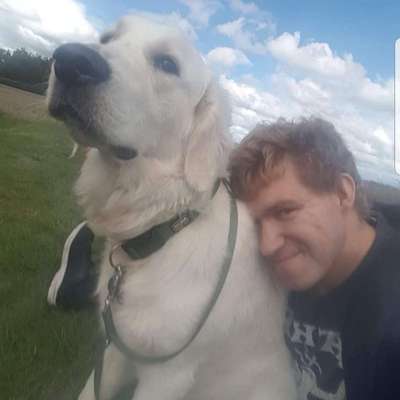 Hundetreffen-Treffen zum spielen und toben in Goldberg-Profilbild