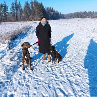 Hundetreffen-Wir suchen Junghunde bis 8 Monate zum spielen-Profilbild