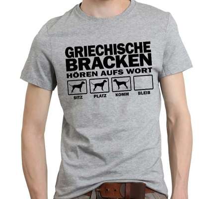 Griechische Bracke-Beitrag-Bild