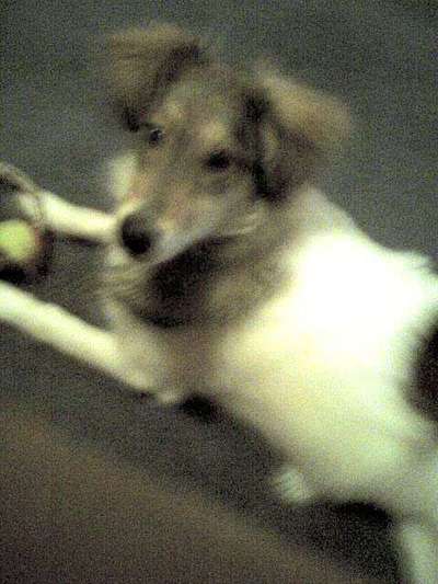 Vorher.... Nachher-Beitrag-Bild