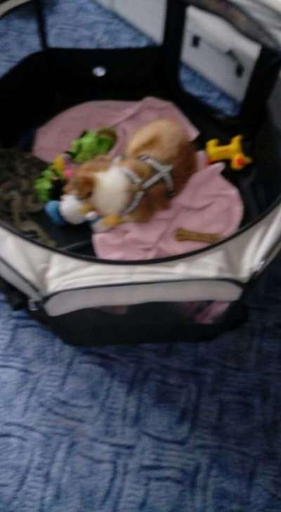 Das erste Foto-Beitrag-Bild