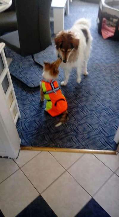 Das erste Foto-Beitrag-Bild