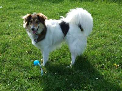 Vorher.... Nachher-Beitrag-Bild