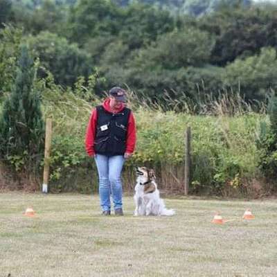 Vorher.... Nachher-Beitrag-Bild