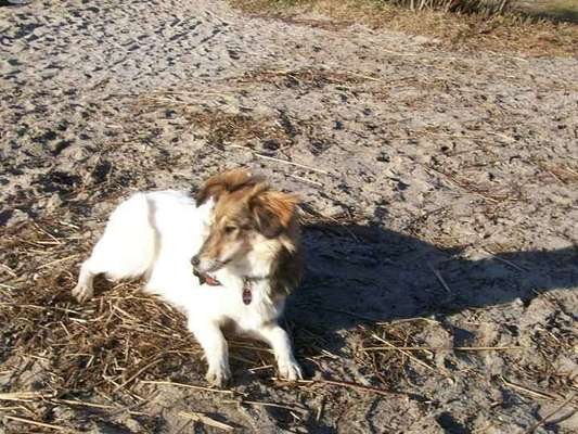 Das erste Foto-Beitrag-Bild