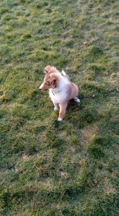 Vorher.... Nachher-Beitrag-Bild