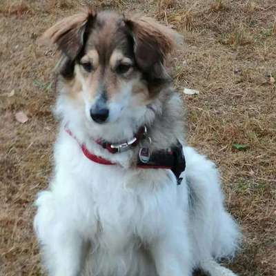 Vorher.... Nachher-Beitrag-Bild