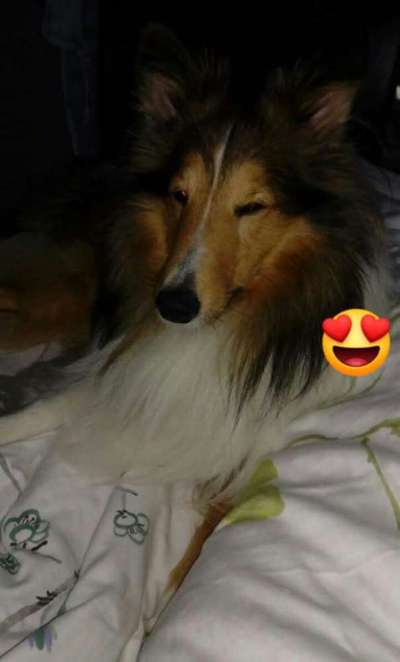 Vorher.... Nachher-Beitrag-Bild