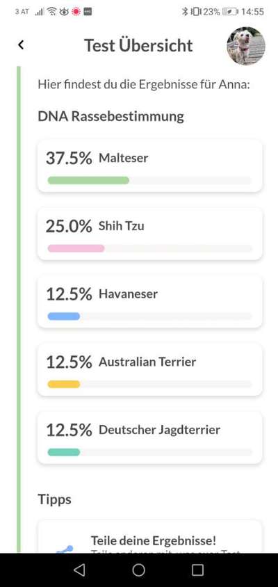 DNA Test-Beitrag-Bild