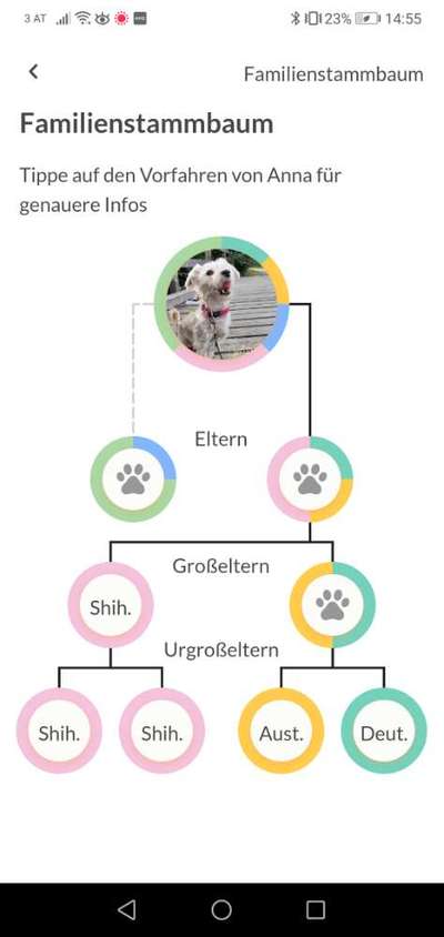 DNA Test-Beitrag-Bild