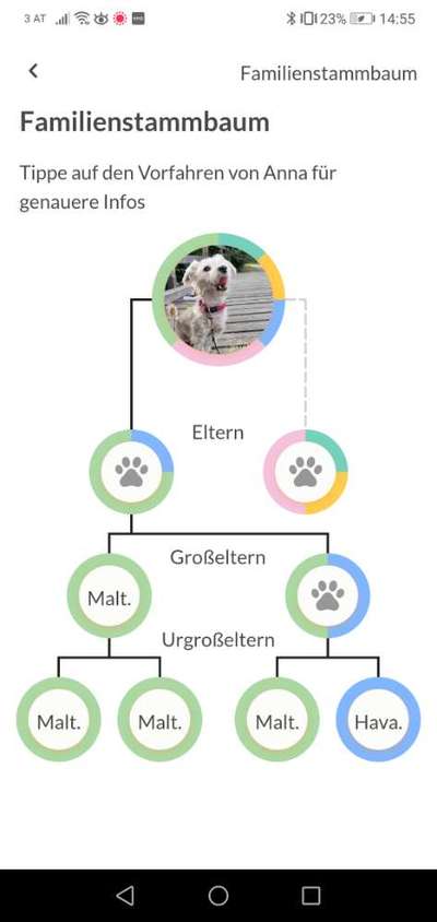 DNA Test-Beitrag-Bild