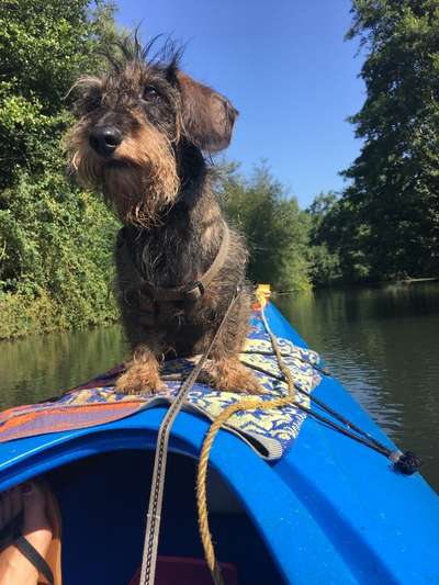 Dogorama Photo Challenge - Tierischer Urlaub-Beitrag-Bild