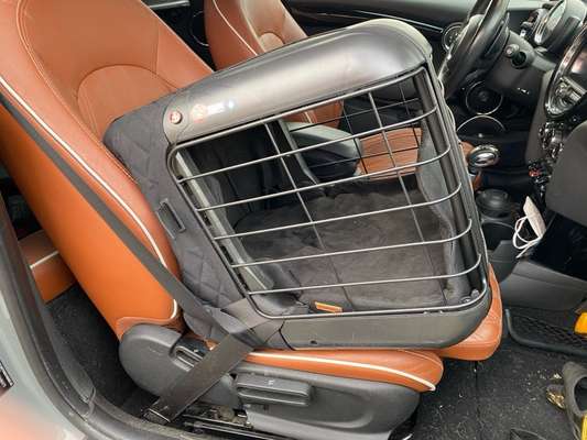 Foto Challenge Thema "Hunde im Auto"-Beitrag-Bild